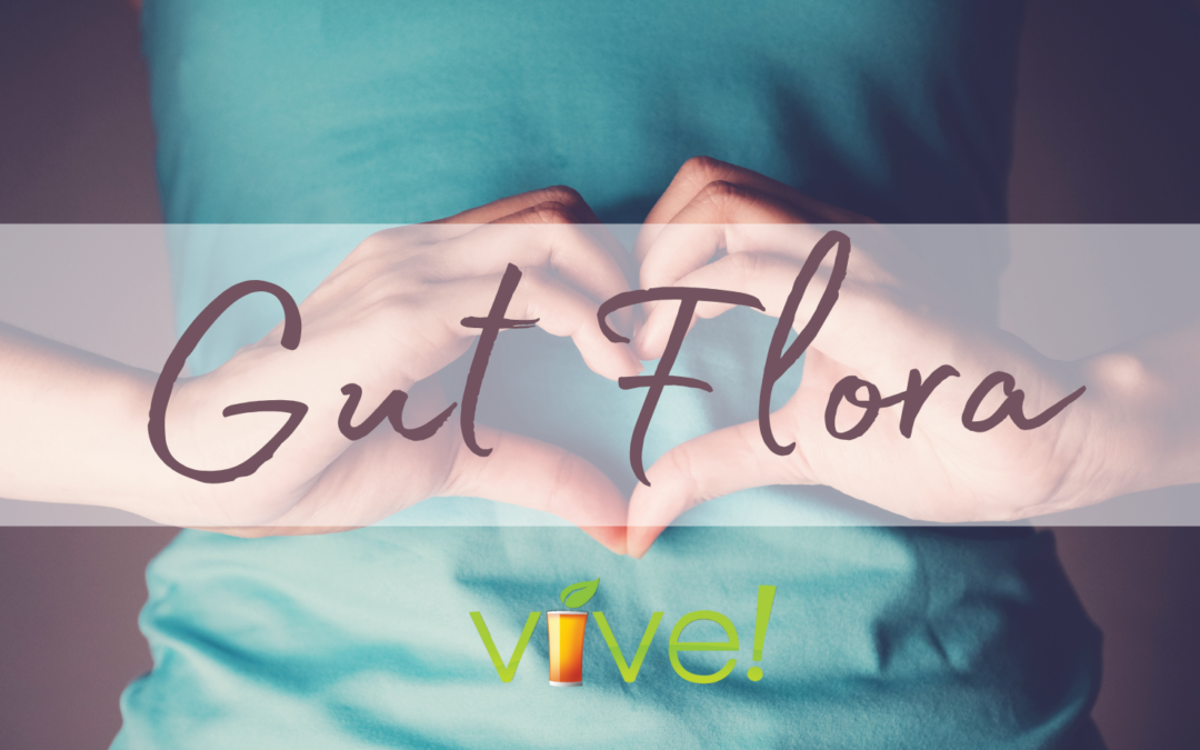 Hand over gut with the words gut flora and Vive Shake logo